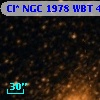 Cl* NGC 1978    WBT    4082
