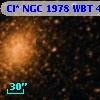 Cl* NGC 1978    WBT    4083