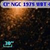 Cl* NGC 1978    WBT    4136