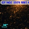 Cl* NGC 1978    WBT    4141