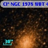 Cl* NGC 1978    WBT    4146