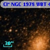 Cl* NGC 1978    WBT    4147