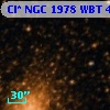 Cl* NGC 1978    WBT    4151