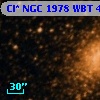Cl* NGC 1978    WBT    4166