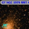Cl* NGC 1978    WBT    4167