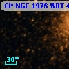 Cl* NGC 1978    WBT    4175