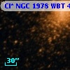 Cl* NGC 1978    WBT    4178
