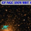 Cl* NGC 1978    WBT    4183