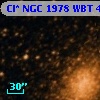 Cl* NGC 1978    WBT    4195