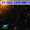 Cl* NGC 1978    WBT    4196
