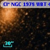 Cl* NGC 1978    WBT    4200
