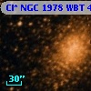 Cl* NGC 1978    WBT    4203