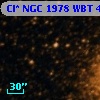 Cl* NGC 1978    WBT    4214