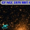 Cl* NGC 1978    WBT    4222