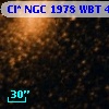 Cl* NGC 1978    WBT    4232