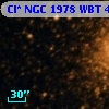 Cl* NGC 1978    WBT    4233