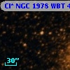 Cl* NGC 1978    WBT    4239