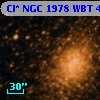 Cl* NGC 1978    WBT    4247