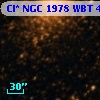 Cl* NGC 1978    WBT    4265