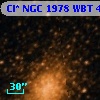 Cl* NGC 1978    WBT    4275