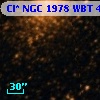 Cl* NGC 1978    WBT    4287