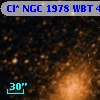 Cl* NGC 1978    WBT    4288