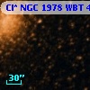 Cl* NGC 1978    WBT    4294