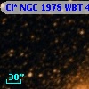 Cl* NGC 1978    WBT    4295