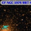 Cl* NGC 1978    WBT    4296
