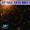Cl* NGC 1978    WBT    4297