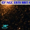 Cl* NGC 1978    WBT    4301