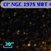 Cl* NGC 1978    WBT    4304