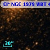 Cl* NGC 1978    WBT    4306