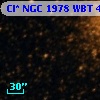 Cl* NGC 1978    WBT    4307