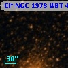 Cl* NGC 1978    WBT    4316