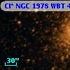 Cl* NGC 1978    WBT    4329