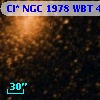 Cl* NGC 1978    WBT    4331