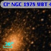 Cl* NGC 1978    WBT    4337
