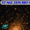 Cl* NGC 1978    WBT    4339