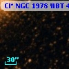 Cl* NGC 1978    WBT    4344