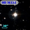 HD  36131