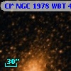 Cl* NGC 1978    WBT    4357