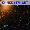 Cl* NGC 1978    WBT    4384