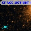 Cl* NGC 1978    WBT    4389