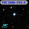 TYC 3166-731-1