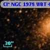 Cl* NGC 1978    WBT    4406