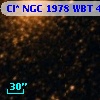 Cl* NGC 1978    WBT    4424