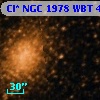 Cl* NGC 1978    WBT    4432