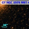 Cl* NGC 1978    WBT    4439