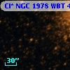 Cl* NGC 1978    WBT    4442